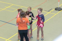 04 - Wölfe Cup