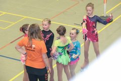 04 - Wölfe Cup