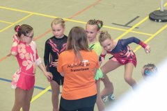 04 - Wölfe Cup
