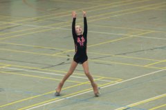 04 - Wölfe Cup