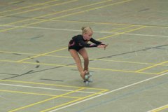 04 - Wölfe Cup