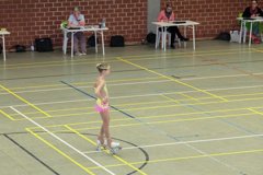 04 - Wölfe Cup