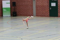 04 - Wölfe Cup