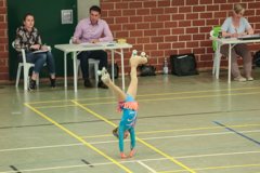 04 - Wölfe Cup