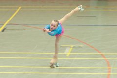 04 - Wölfe Cup