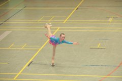 04 - Wölfe Cup