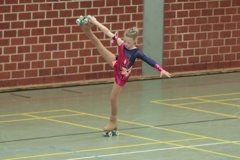 04 - Wölfe Cup