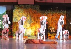 05 - Vorstellung Tarzan - Klein Berkel - 03.-04.März 2012