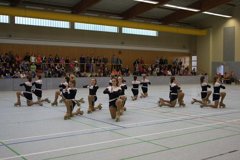 07 - 1.Humme-Cup in Groß Berkel - 19.-20.März 2011