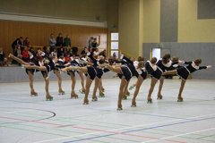 07 - 1.Humme-Cup in Groß Berkel - 19.-20.März 2011