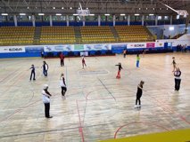 18 - Europa Cup